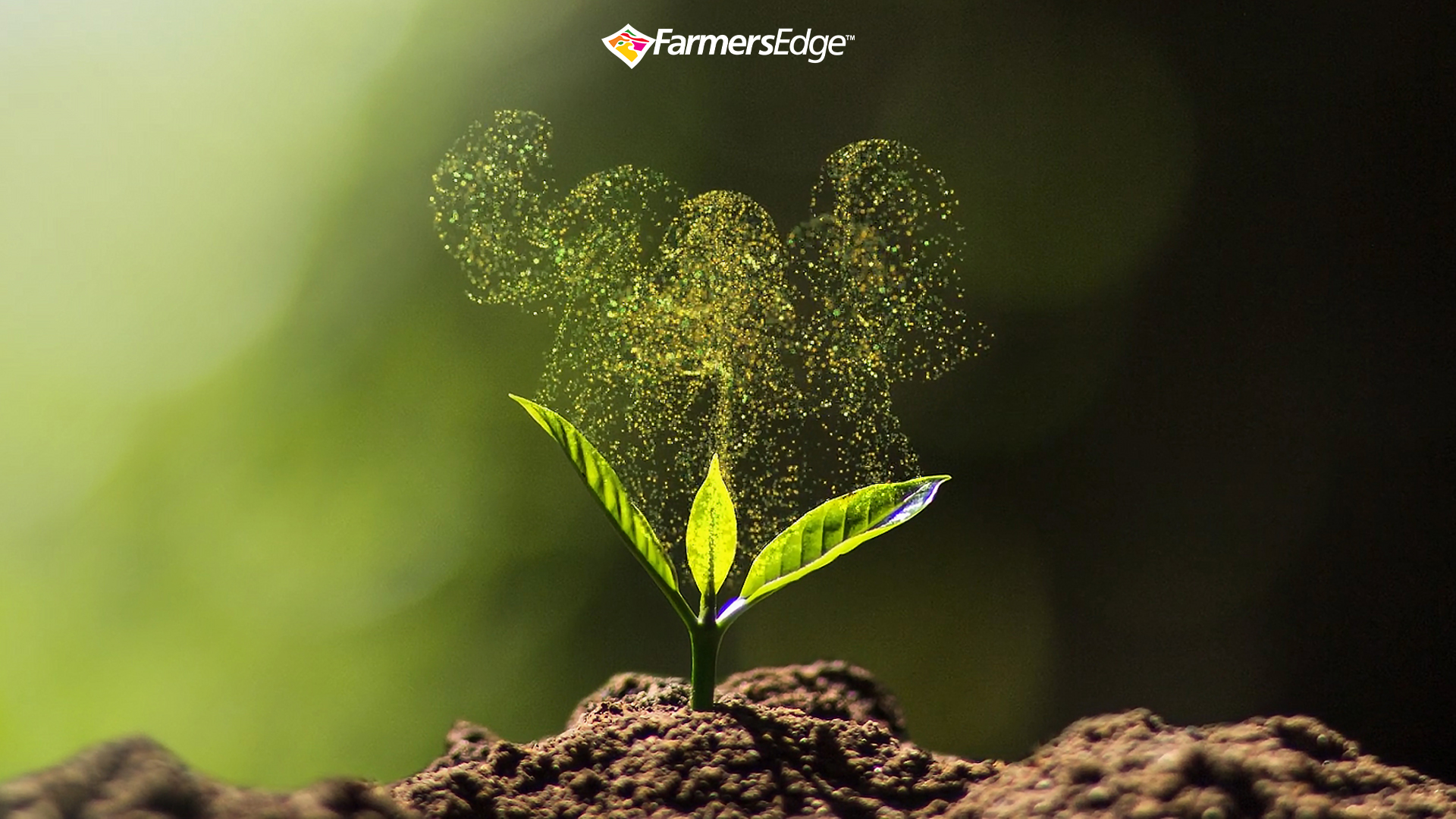 Farmers Edge Helps Farmers in North America Create Millions of Potential New Carbon Offsets