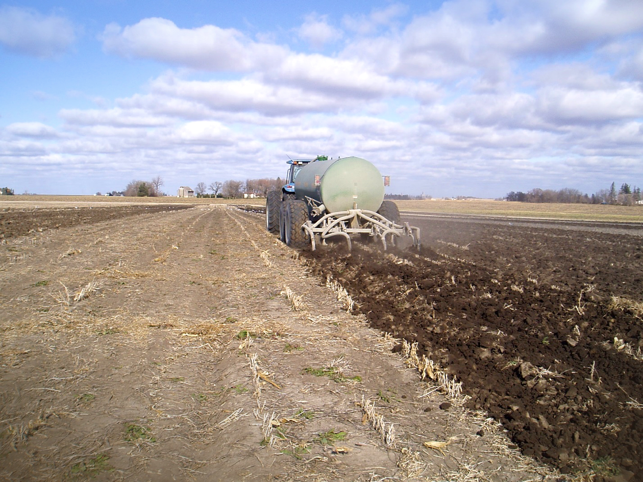 Manure Application Considerations for this Fall
