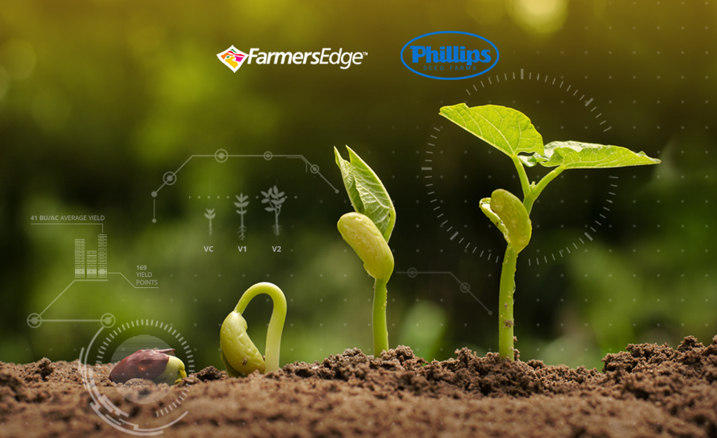 Farmers Edge and Phillips Seed Farms Inc. to Take Digital Connectivity to New Level in Prime Agricultural Region