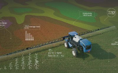 Five Ways Farmers Can Optimize Fertilizer Use