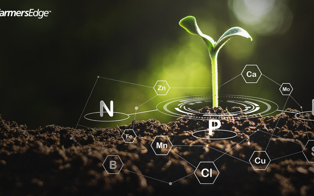 Revolutionizing Nutrient Management with Virtual Soil Testing (VST)