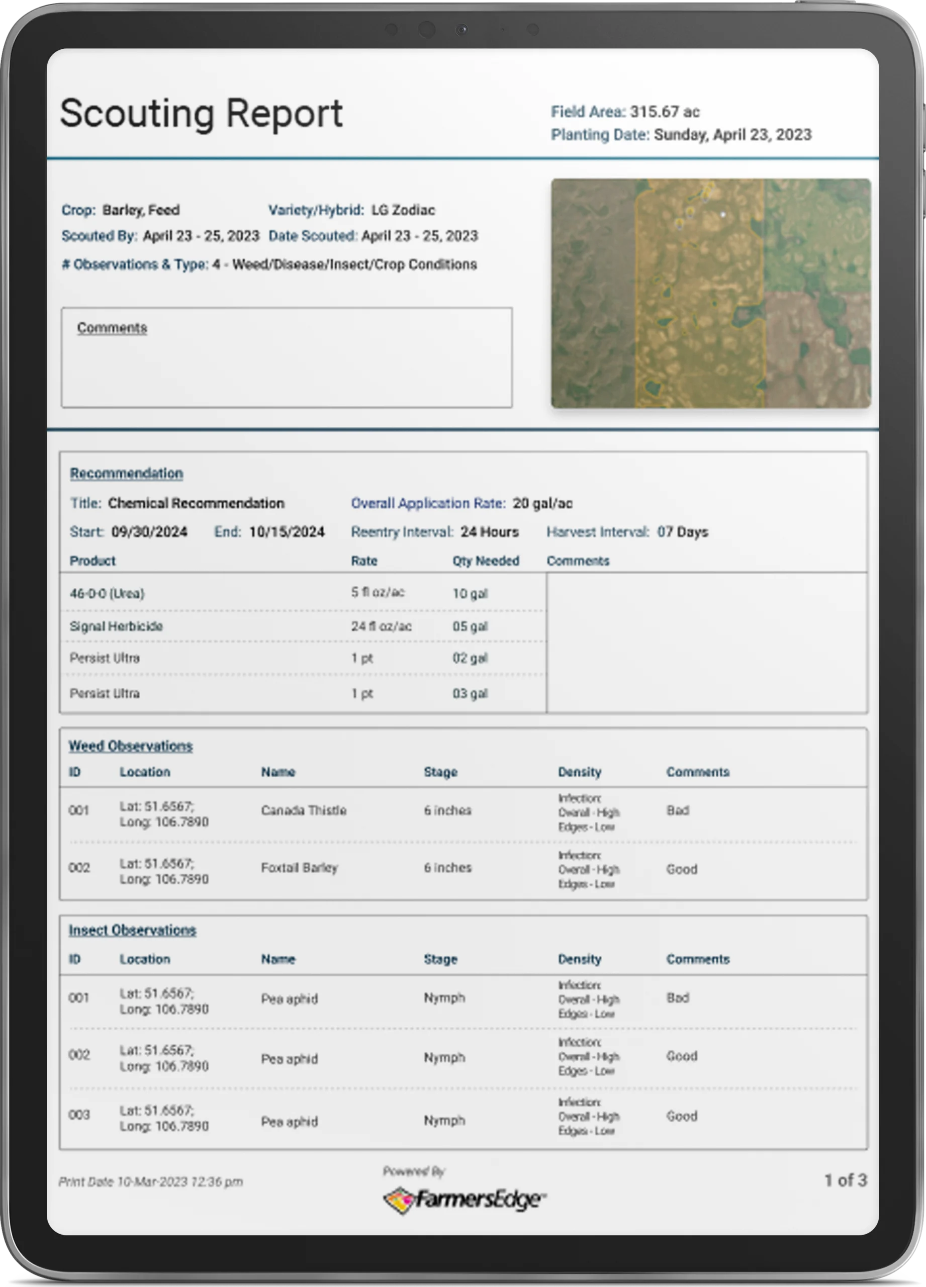 Scouting Report